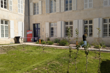 cour