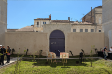 cour
