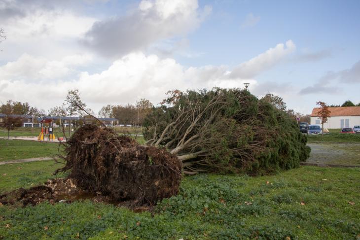 Tempete Domingos à Rochefort