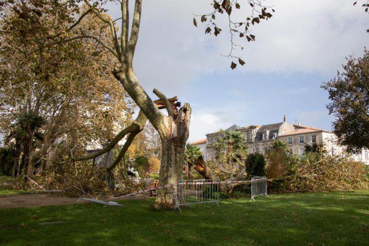 Tempete Domingos à Rochefort